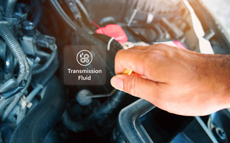 BMW Transmission Fluid Check